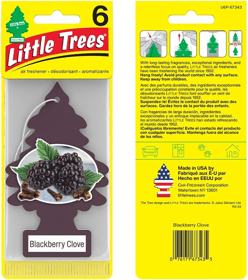 LITTLE TREES Air Fresheners Car Air Freshener. Hanging Tree Provides Long Lasting Scent for Auto or Home. Blackberry Clove, 24 Air Fresheners