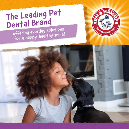 Arm & Hammer Pet Smiles Dog Dental Chews Fight Plaque & Tartar Fresh Mint 8 Pieces Each Case Of 24